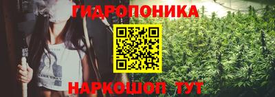 СК Конаково