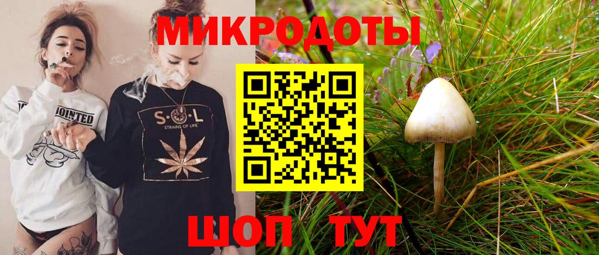 Псилоцибиновые грибы MAGIC MUSHROOMS  Вход с VPN  Чистополь 