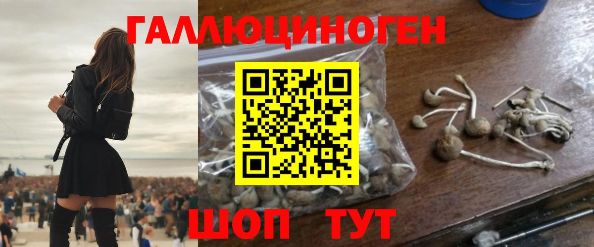 Галлюциногенные грибы GOLDEN TEACHER Чистополь